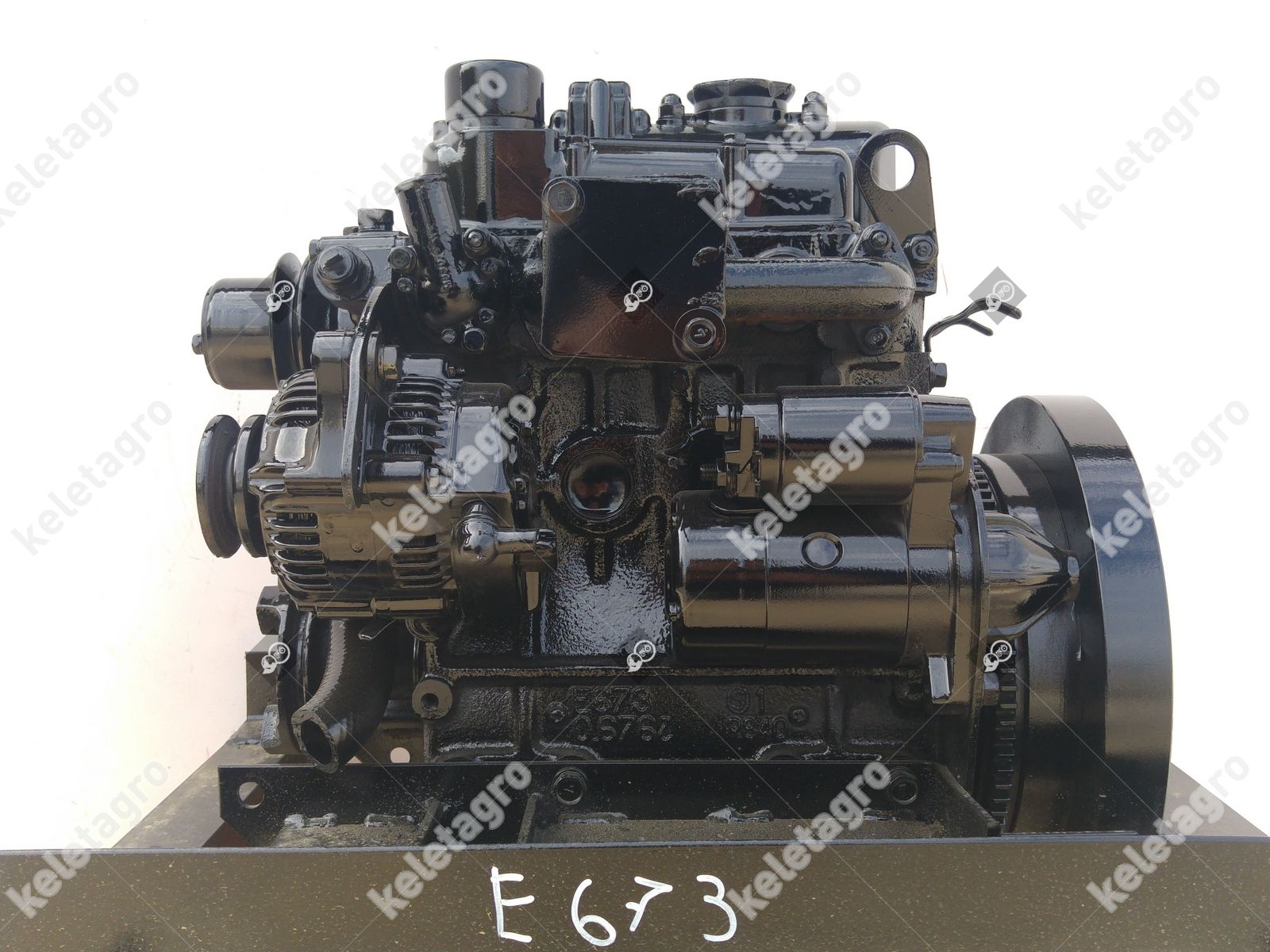 Diesel Engine Shibaura E673