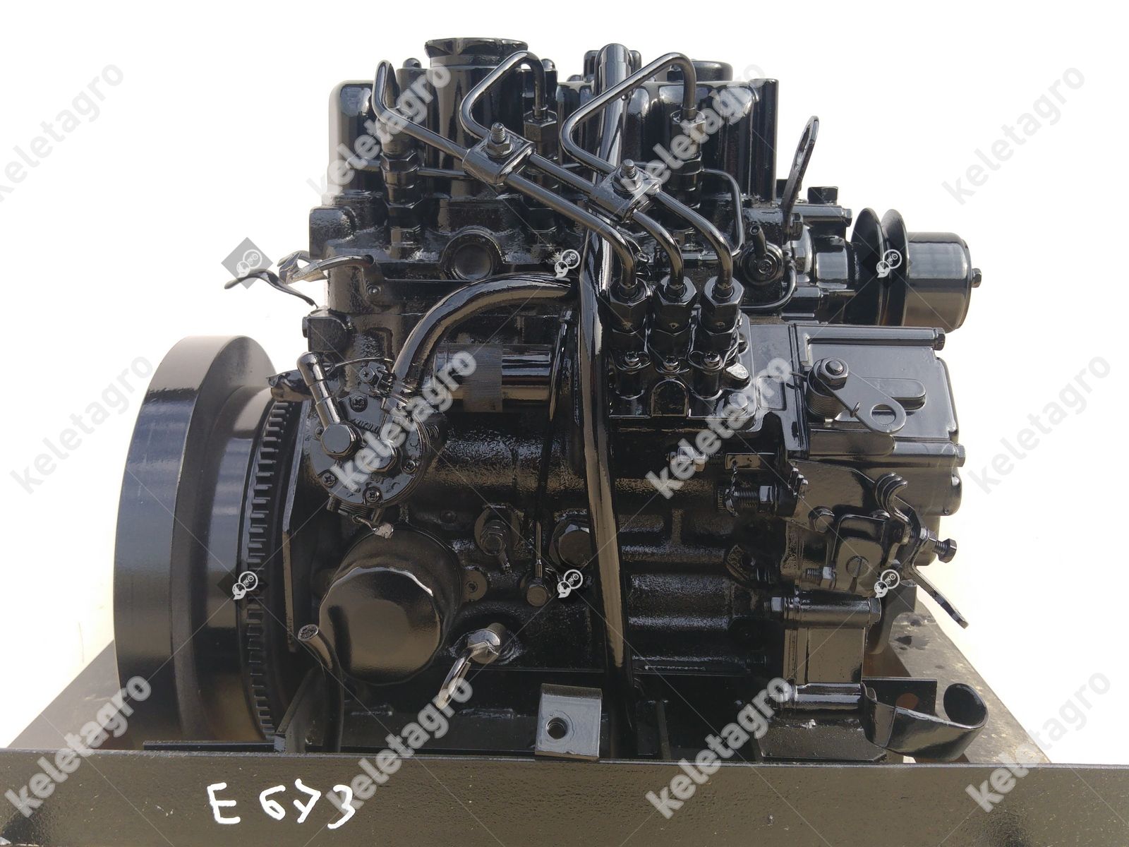 Diesel Engine Shibaura E673