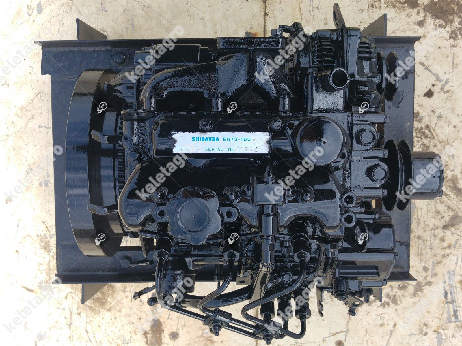 Diesel Engine Shibaura E673